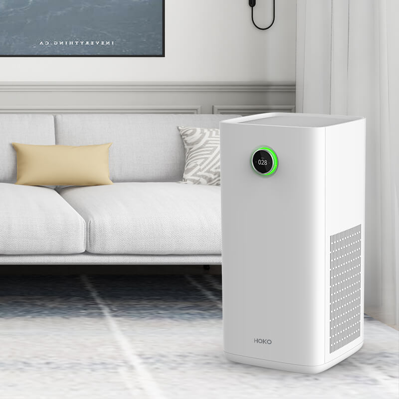 A Guide to Choosing the Right Air Cleaner - HOKO