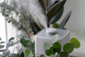 A Simple Guide to Air Purification with Water