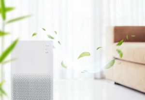Key Traits of Top Air Purifier Makers