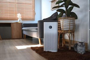 Do Air Purifiers Dry the Air?