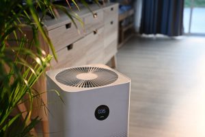 Key Trends in Air Cleaner Wholesale for 2024